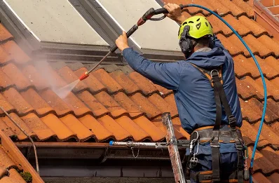 Démoussage et hydrofuge de toiture à Lahosse